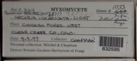 Image Associated With the Occurence
